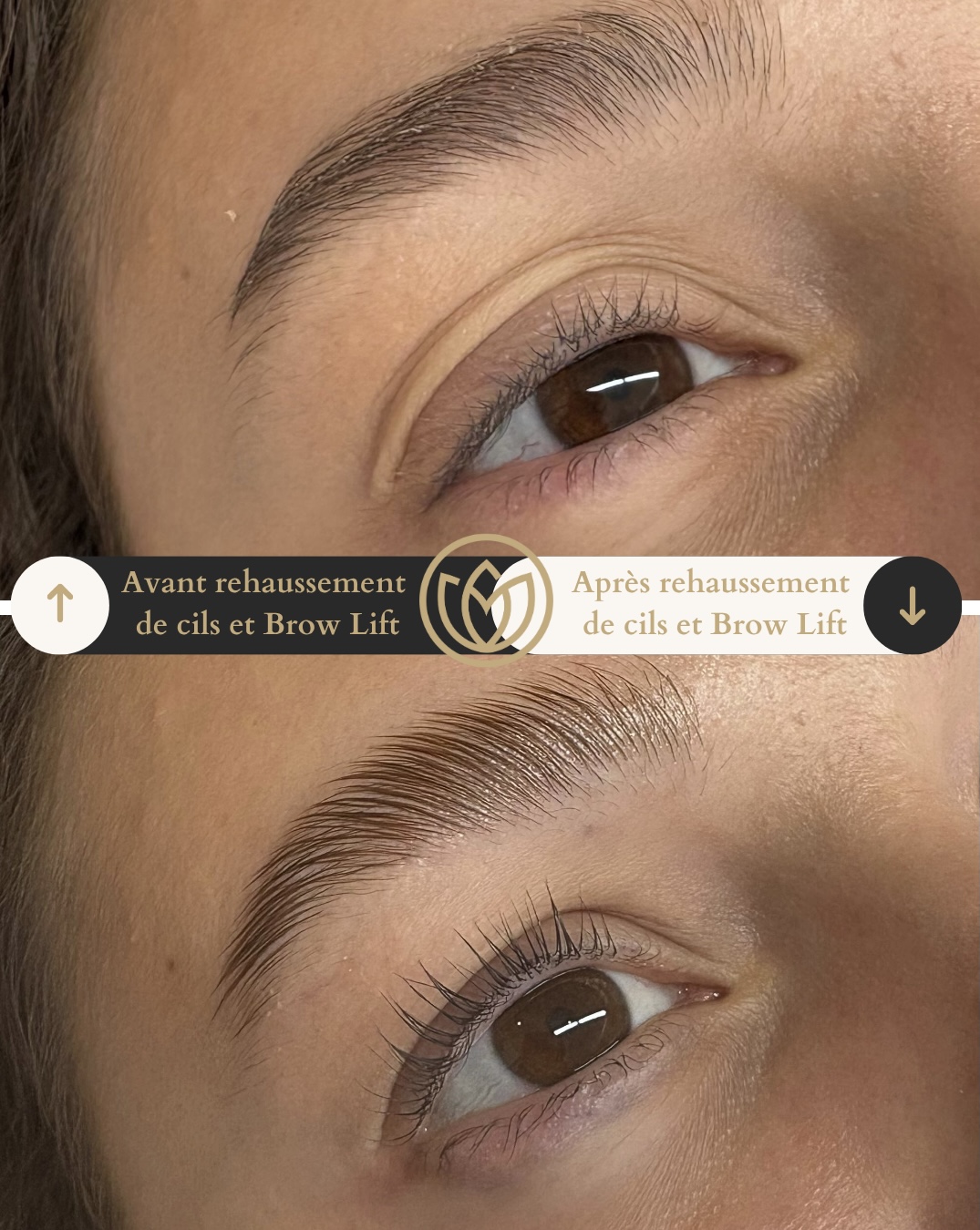 Avant/Après Rehaussement de sourcils